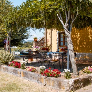 Agriturismo in Toscana | Appartamenti e camere in agriturismo vicino Arezzo