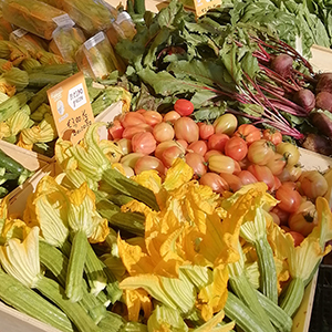 Corsi di cucina, escursioni trekking, a cavallo e mountain bike in Toscana