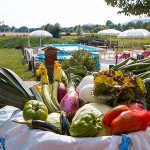 Corsi di cucina, escursioni trekking, a cavallo e mountain bike in Toscana