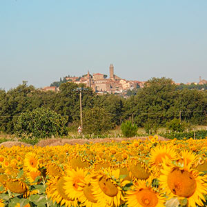 Visita a Castiglion Fiorentino, punti d’interesse ed eventi | Visitare la Toscana