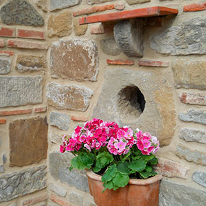 Agriturismo Mulino Vecchio del Cilone con appartamenti, camere e piscina