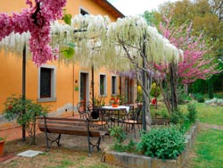 Foto agriturismo in Toscana | Fotografie e immagini appartamenti e camere per vacanze