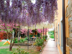 Foto agriturismo in Toscana | Fotografie e immagini appartamenti e camere per vacanze