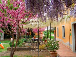 Foto agriturismo in Toscana | Fotografie e immagini appartamenti e camere per vacanze