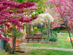 Foto agriturismo in Toscana | Fotografie e immagini appartamenti e camere per vacanze