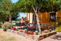 Foto agriturismo in Toscana | Fotografie e immagini appartamenti e camere per vacanze