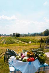 Foto agriturismo in Toscana | Fotografie e immagini appartamenti e camere per vacanze