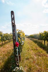 Foto agriturismo in Toscana | Fotografie e immagini appartamenti e camere per vacanze