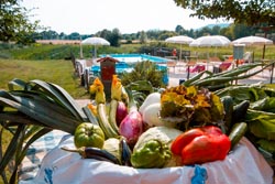 Foto agriturismo in Toscana | Fotografie e immagini appartamenti e camere per vacanze