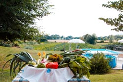 Foto agriturismo in Toscana | Fotografie e immagini appartamenti e camere per vacanze