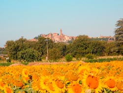 Foto agriturismo in Toscana | Fotografie e immagini appartamenti e camere per vacanze