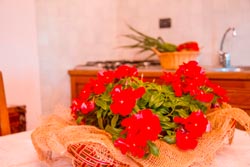 Foto agriturismo in Toscana | Fotografie e immagini appartamenti e camere per vacanze