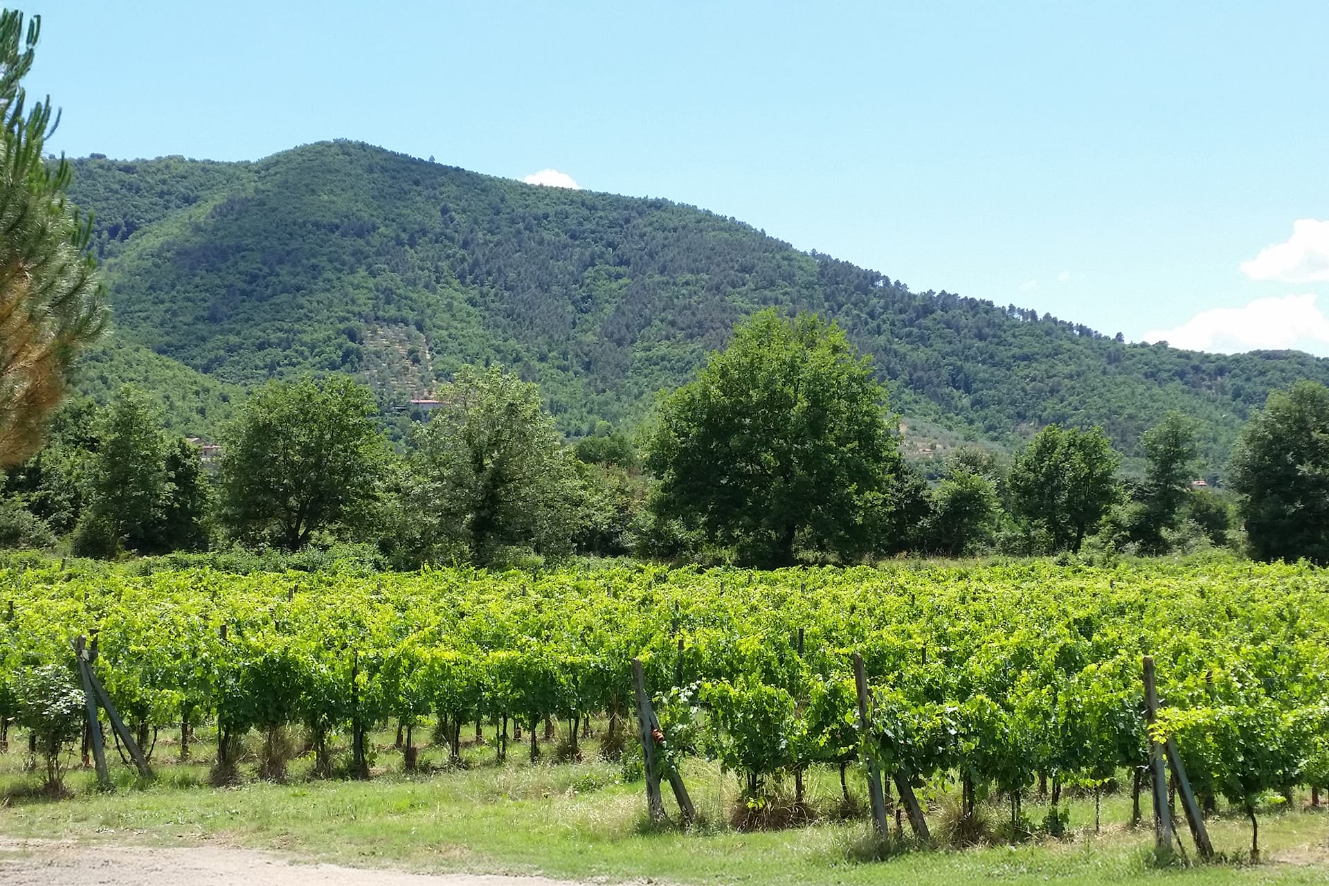 Foto agriturismo in Toscana | Fotografie e immagini appartamenti e camere per vacanze