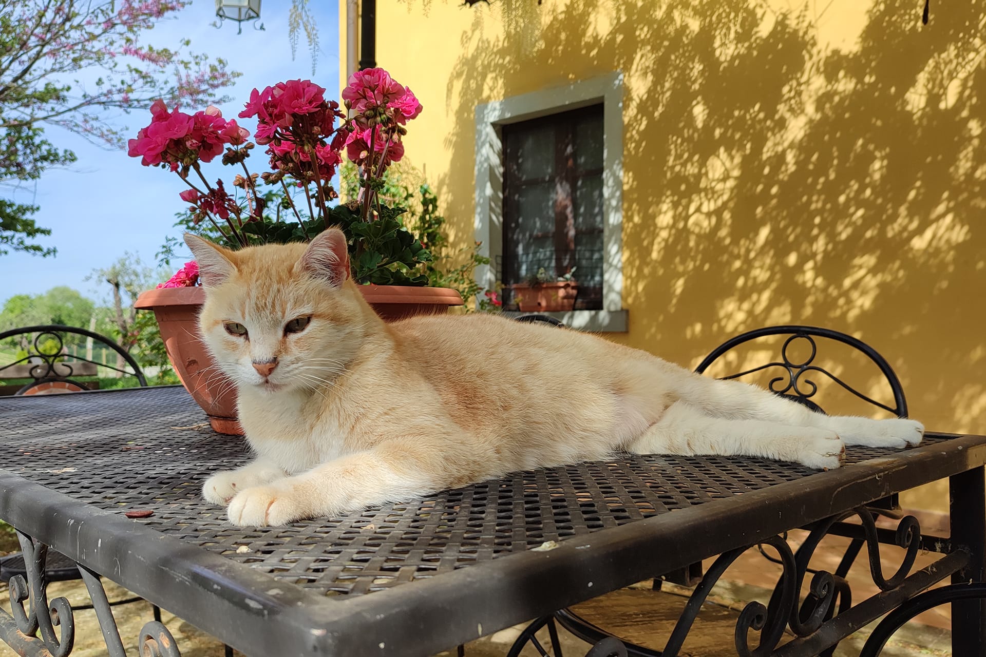 Foto agriturismo in Toscana | Fotografie e immagini appartamenti e camere per vacanze