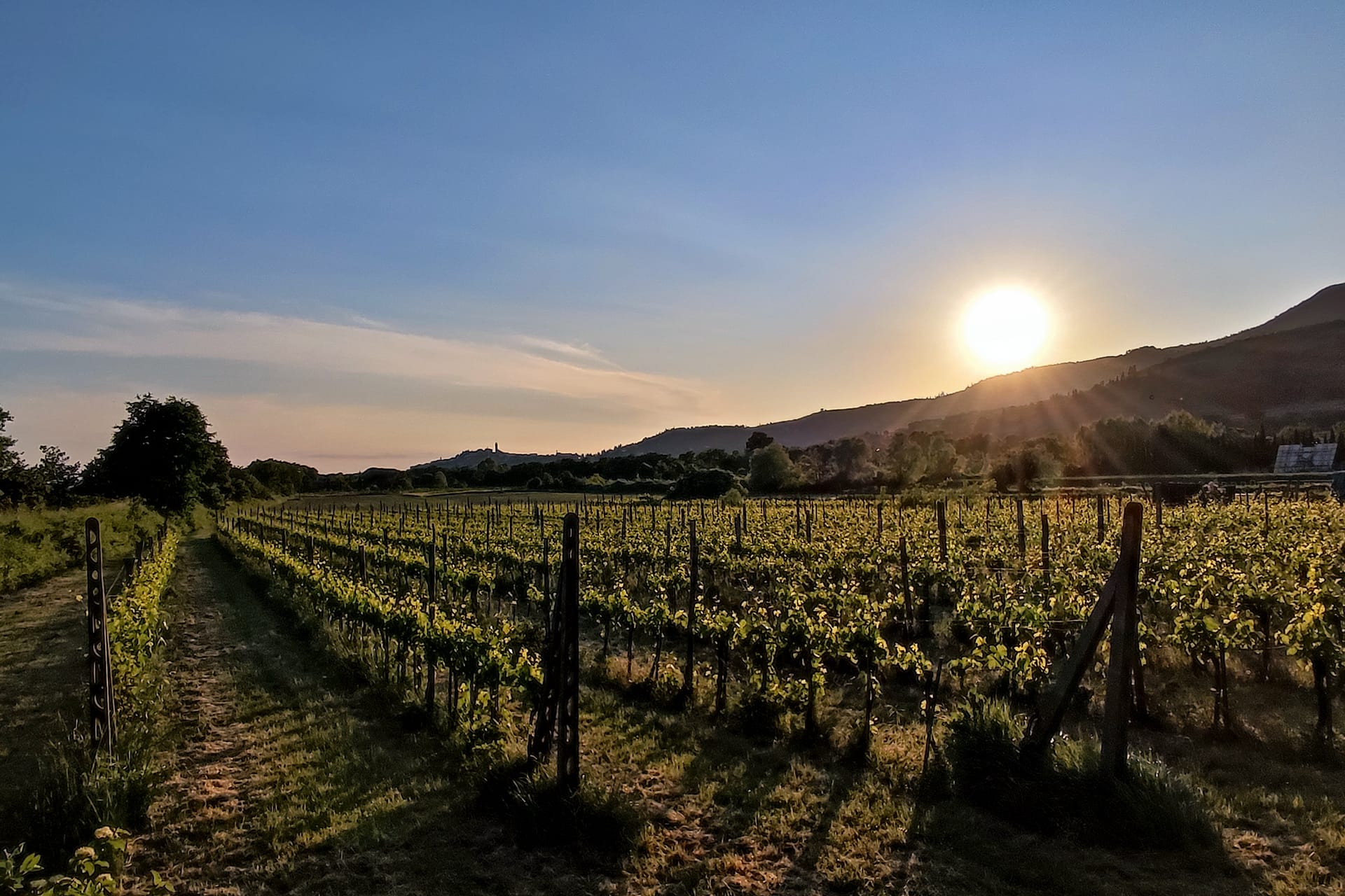 Foto agriturismo in Toscana | Fotografie e immagini appartamenti e camere per vacanze