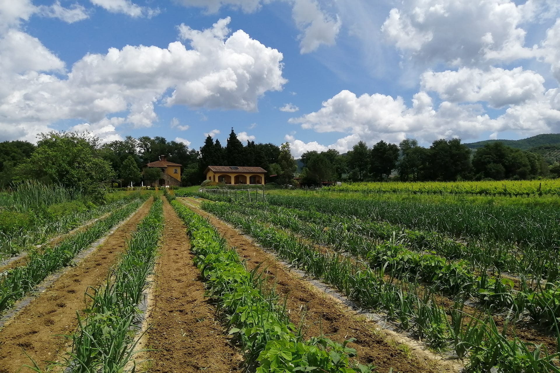Foto agriturismo in Toscana | Fotografie e immagini appartamenti e camere per vacanze