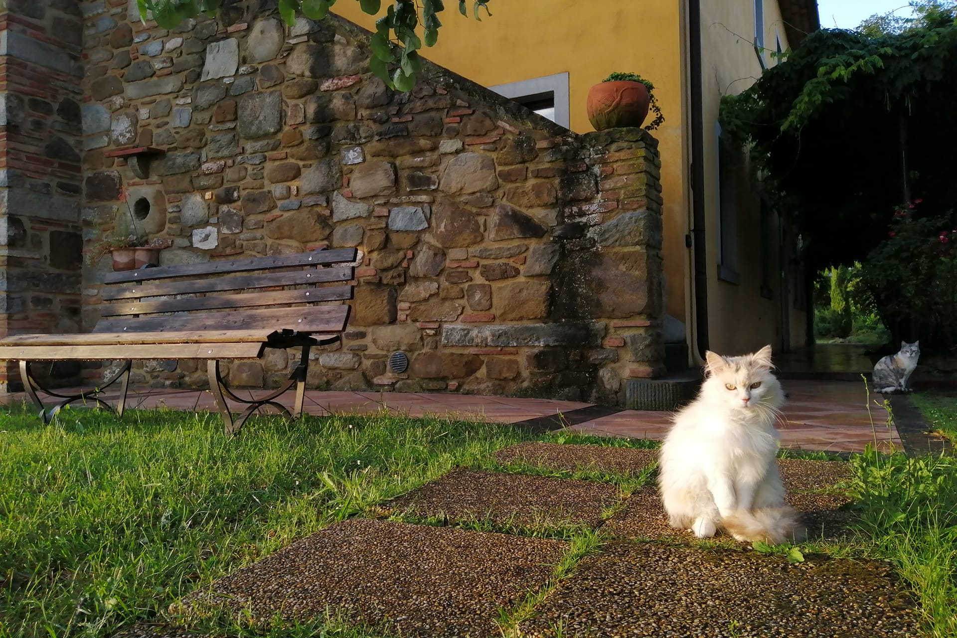Foto agriturismo in Toscana | Fotografie e immagini appartamenti e camere per vacanze