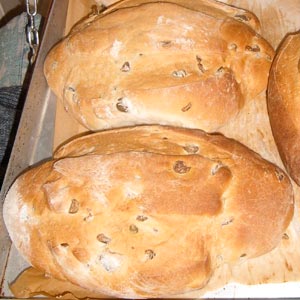 Azienda agricola biologica toscana a Castiglion Fiorentino, Arezzo
