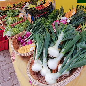 Azienda agricola biologica toscana a Castiglion Fiorentino, Arezzo