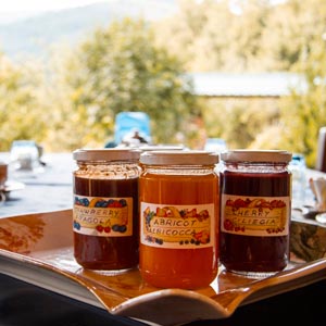 Azienda agricola biologica toscana a Castiglion Fiorentino, Arezzo