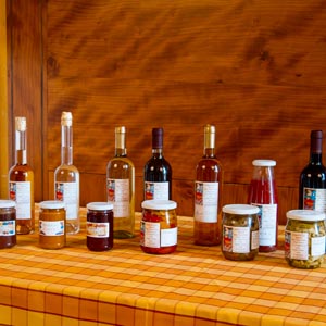 Azienda agricola biologica toscana a Castiglion Fiorentino, Arezzo