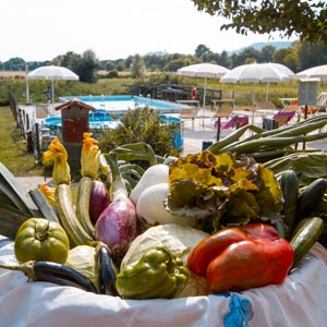 Azienda agricola biologica toscana a Castiglion Fiorentino, Arezzo