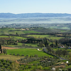 Cosa vedere nei dintorni di Castiglion Fiorentino